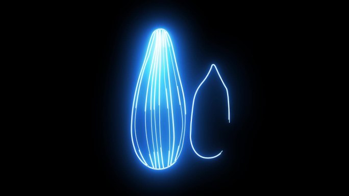 动画的葵花籽图标与发光的霓虹灯效果