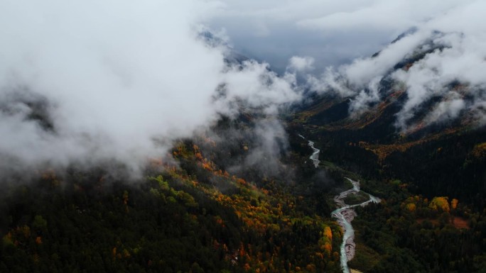 阴森的空中景观与森林在山谷在秋天的一天，俯视图，神话般的自然景观