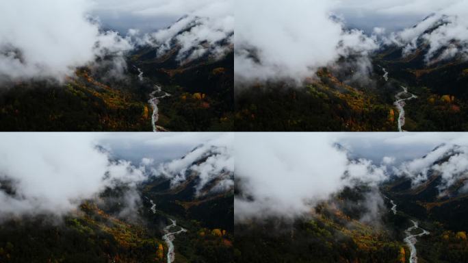 阴森的空中景观与森林在山谷在秋天的一天，俯视图，神话般的自然景观