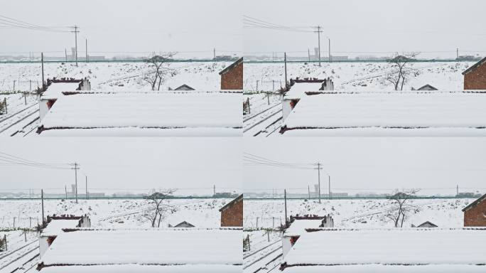 农村乡村冬季冬天鹅毛大雪下雪