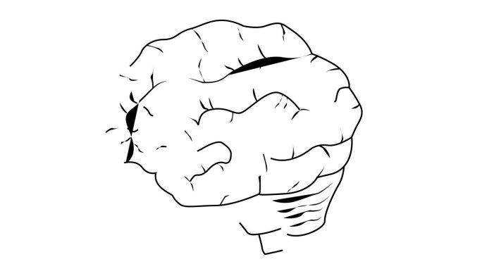 塑造大脑的动画素描视频