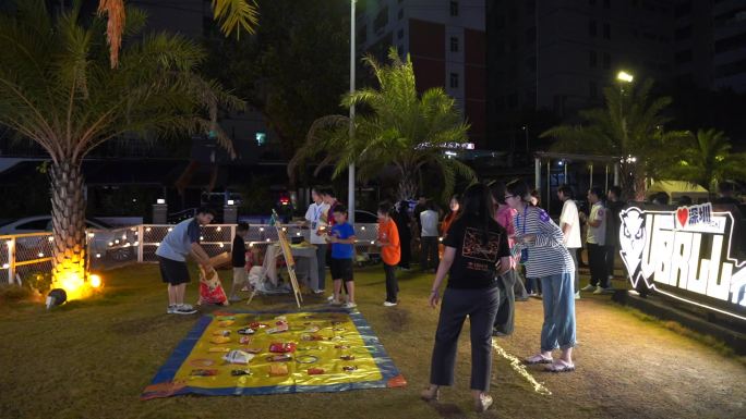 营地 篝火晚会 聚会 夜晚 烤肉 大学生