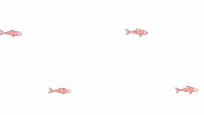 游泳可爱的金鱼与胡须线2D字符动画
