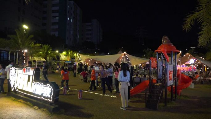 营地 篝火晚会 聚会 夜晚 烤肉 大学生