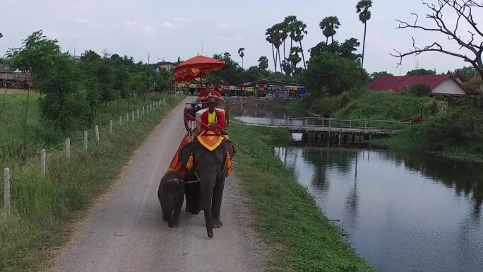 泰国大城府骑大象