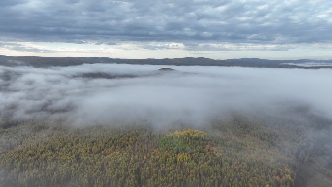 航拍秋山林海云雾迷漫