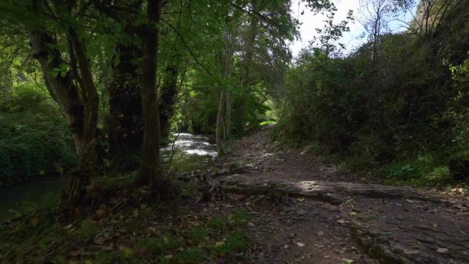 我走在封闭的森林里一条安静的河边，树叶从树上落下来，杜拉顿，塞戈维亚。