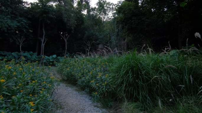 各种各样花草百花园百草园小路