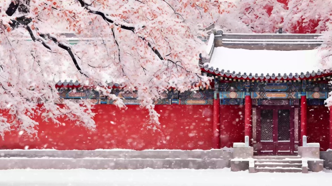 中国红  紫禁城宫墙雪景