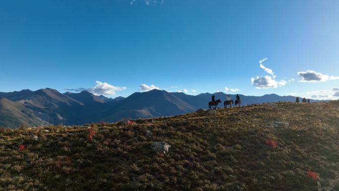 骑马骑马场草原骑马高原骑马旅游骑马