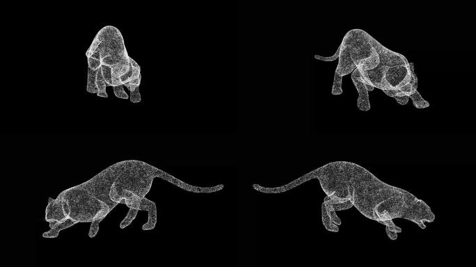 3D黑豹在黑色背景上旋转。食肉动物的概念。优雅的捕食者。商业广告背景。用于标题，文本，演示。3d动画