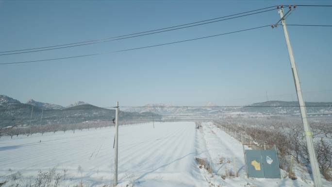 威海雪景风光行驶的车窗外美景8k超清自然