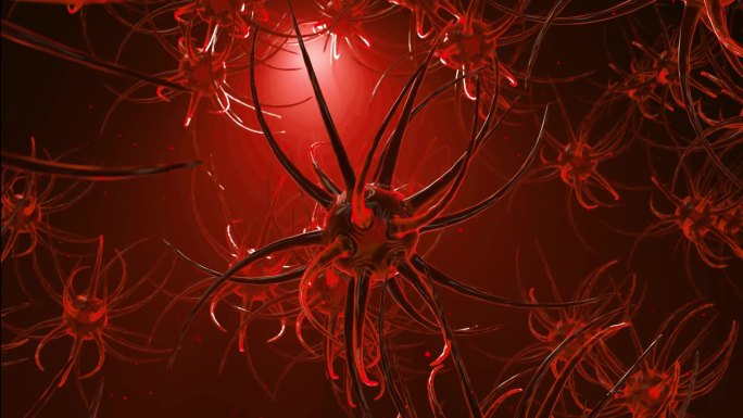 大脑神经元红色神经元动画