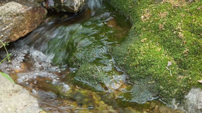 春天清澈山泉水湍急小溪青苔藓