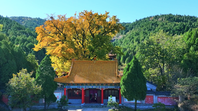 【济南】淌豆寺