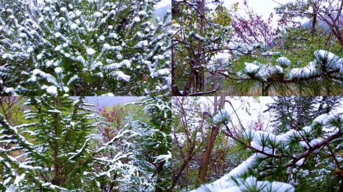 济南第一场雪航拍视频素材