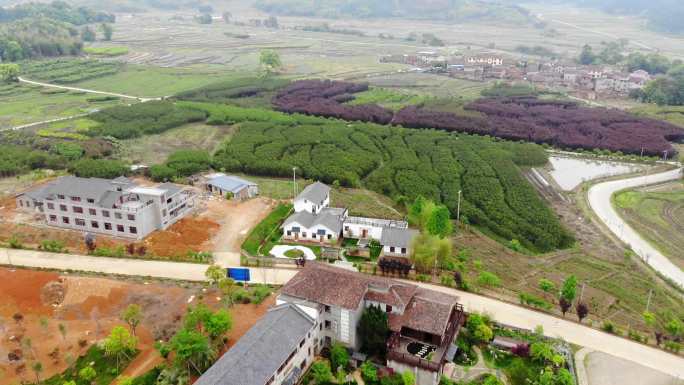 航拍福建南平邵武和平乡村民宿田园风光