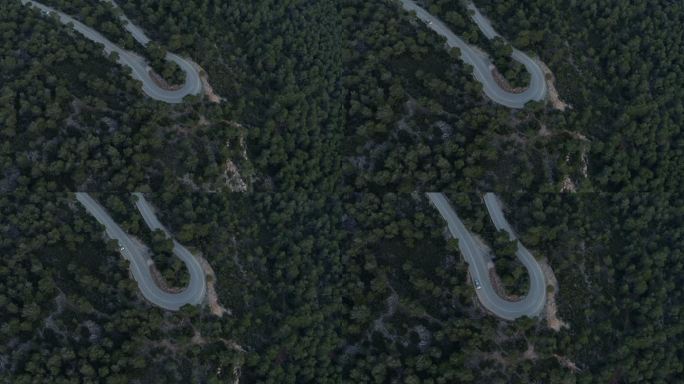 空中-从上方弯曲的森林道路-在DJI Inspire 2 X7 RAW上拍摄
