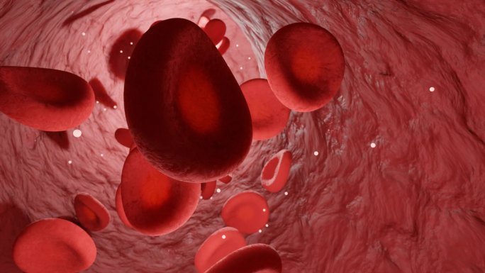 血管红细胞
