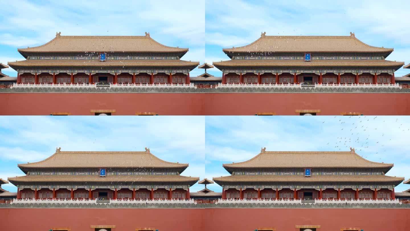 北京故宫午门鸽子绕飞29.97帧升格慢放