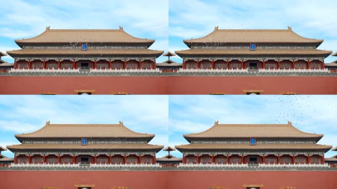 北京故宫午门鸽子绕飞29.97帧升格慢放