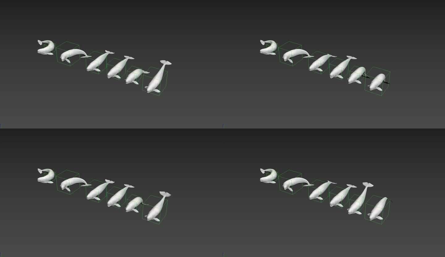 江豚三维模型带动画和绑定