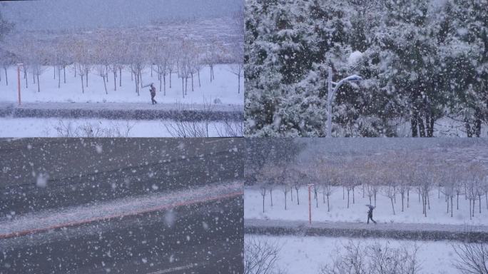 大雪 暴雪 雪花