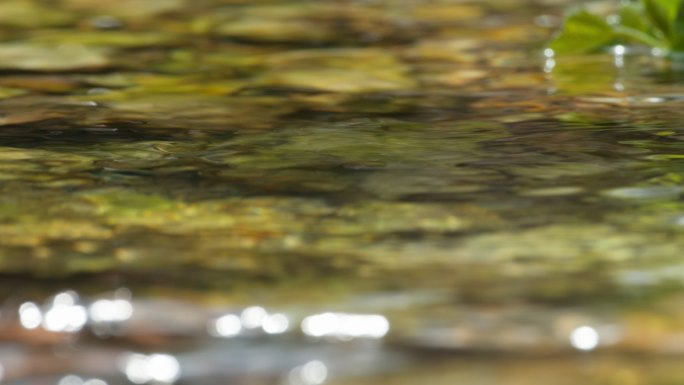 春天湍急山泉水流清澈小溪