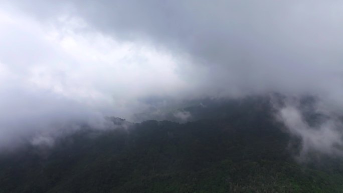 4k50帧航拍云雾缭绕的山川森风景保护区