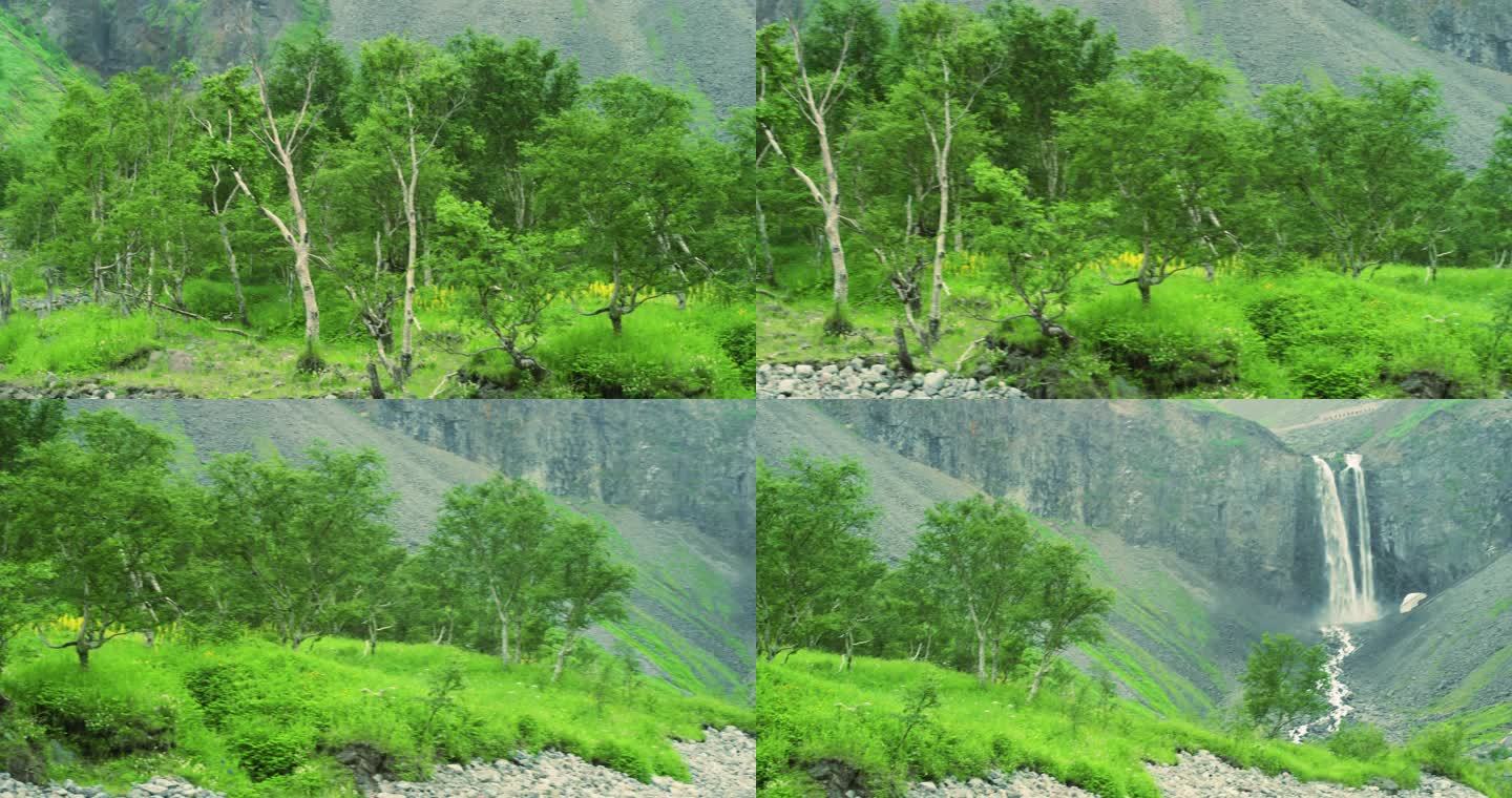青山绿树瀑布-4K