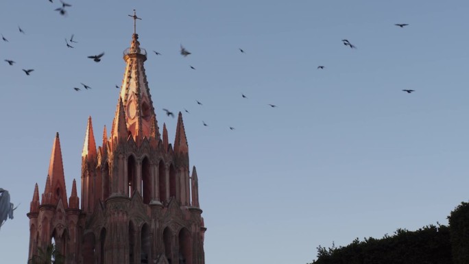 静态中景拍摄的一群令人难以置信的鸟在著名的圣米格尔德阿连德教区教堂Parroquia De San 