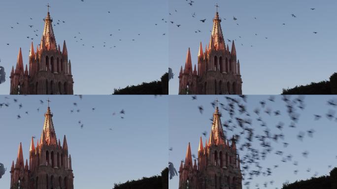 静态中景拍摄的一群令人难以置信的鸟在著名的圣米格尔德阿连德教区教堂Parroquia De San 