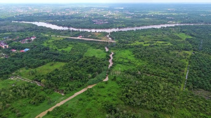 印尼廖内省北干巴鲁棕榈油种植园的空中4k视频。