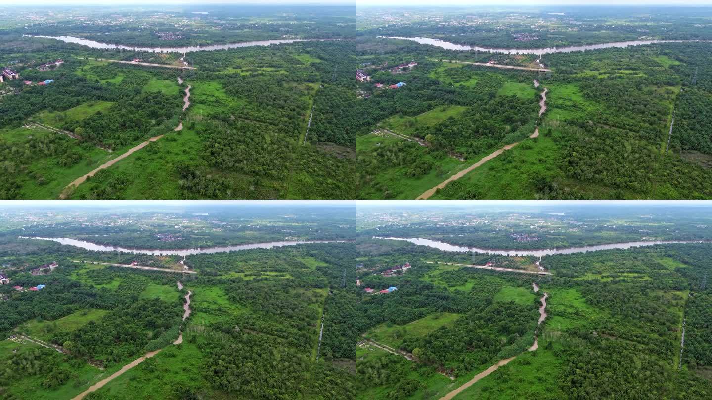 印尼廖内省北干巴鲁棕榈油种植园的空中4k视频。