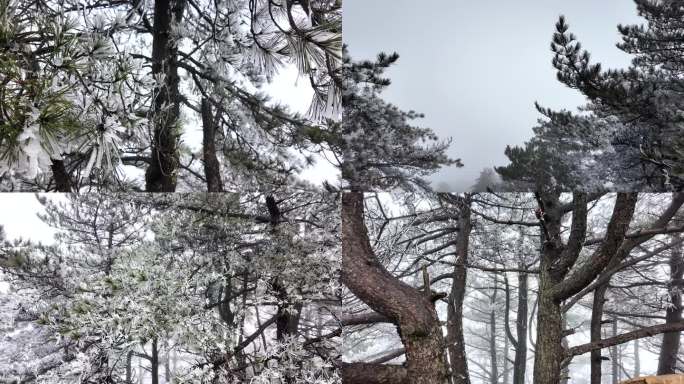 安徽六安天堂寨风景区雾凇瀑布山川森林