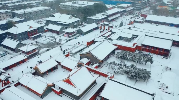 沈阳故宫飘雪