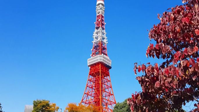 被树木环绕的旅游景点东京塔