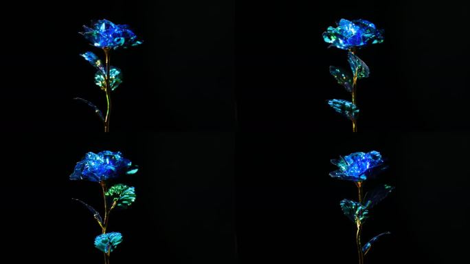 蓝色玫瑰花旋转黑背景