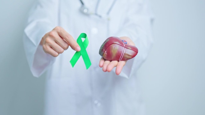 戴绿丝带的医生和人体肝脏解剖模型。十月肝癌宣传月，肿瘤、黄疸、病毒性肝炎、肝硬化、衰竭、扩大、肝性脑