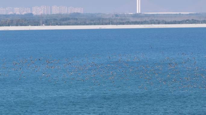 济南玉清湖水库