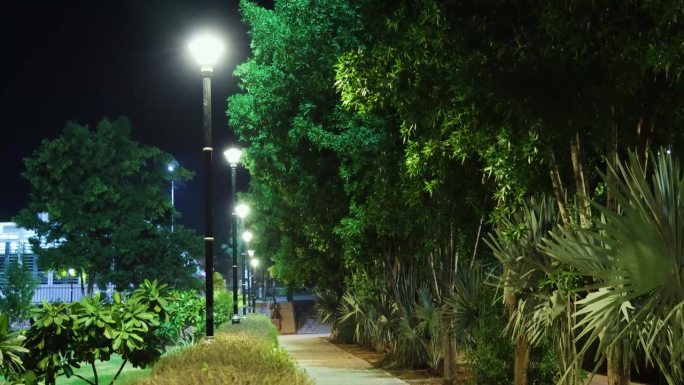 从平角度看，傍晚有绿树的荧光路灯