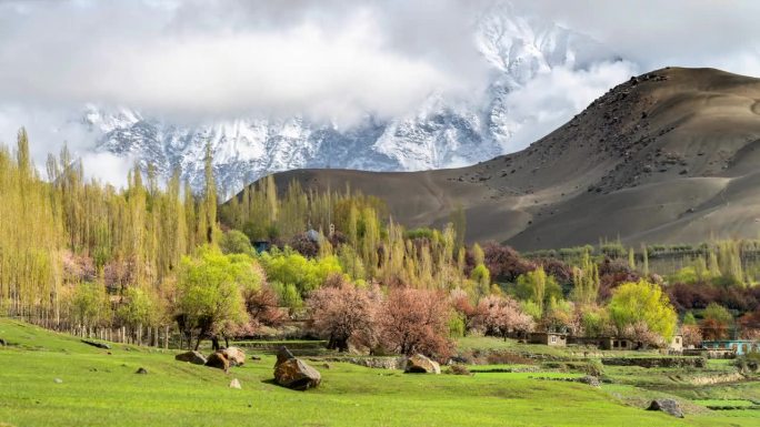 延时日出场景移动的云在雪帽山与美丽的盛开的樱花自然风光景观季节在春达山谷的一个著名的目的地斯卡杜在巴