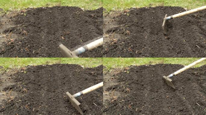 用耙子松动家庭花园的土壤，为种植种子和幼苗准备土壤。农业的概念，粮食的栽培