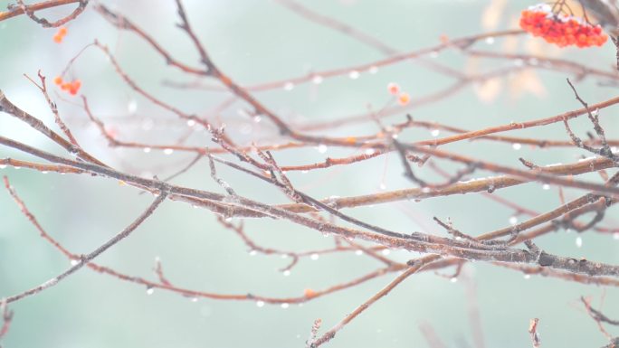 4k冬天雨夹雪人文空镜素材雪景