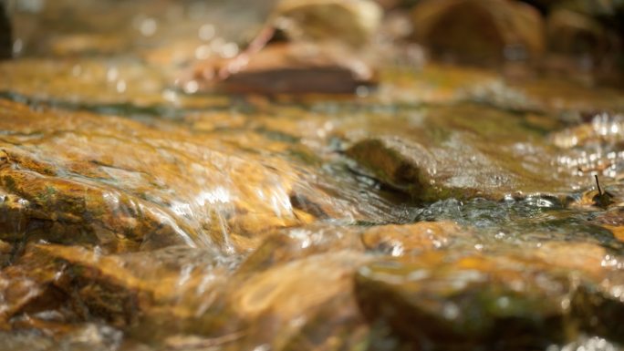 清澈湍急山泉水小溪潺潺流水