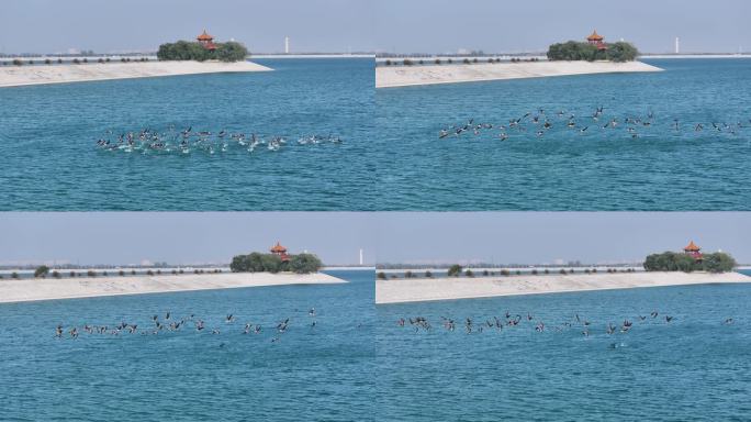 济南玉清湖水库