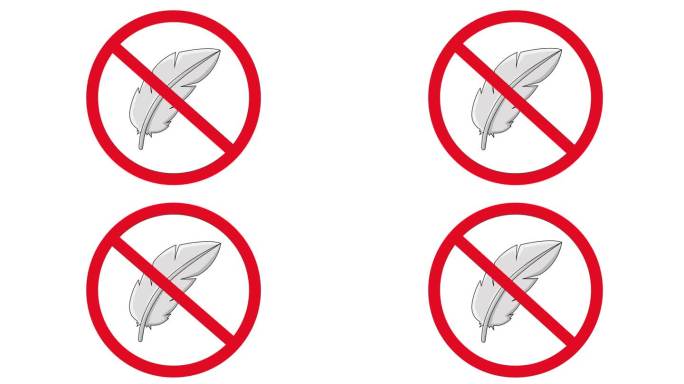 禁止图标和鸡毛图标的动画