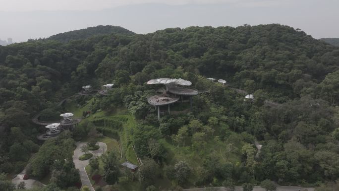 广州云台花园空中栈道