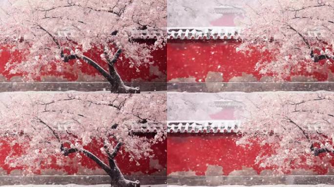紫禁城宫墙雪景 红墙雪景