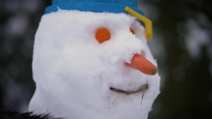 冬日里，滑稽的雪人长着胡萝卜的眼睛和鼻子，头上戴着斗帽